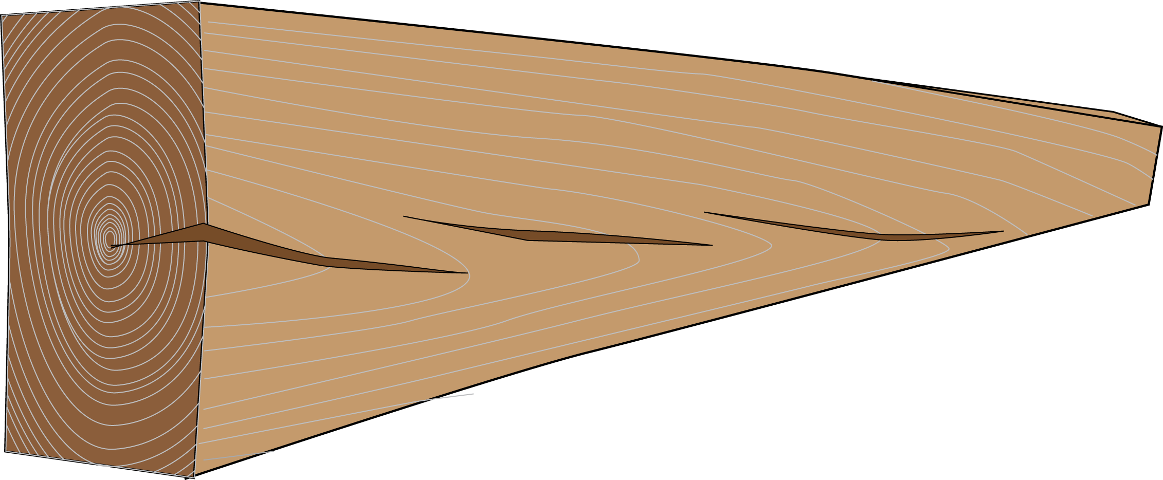 Logo - Twisted Fiber In Timber (2262x934), Png Download