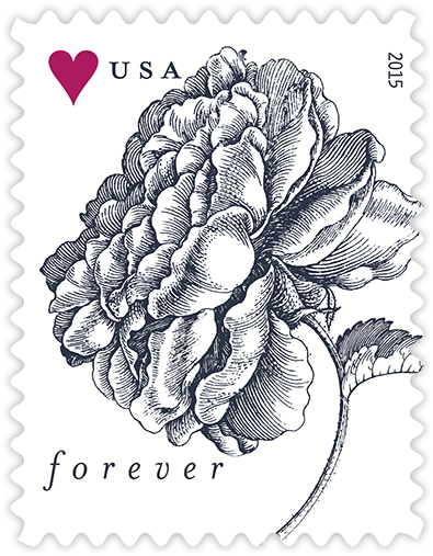 Vintage Rose Sheet Of 20 Usps Forever Stamps (476x588), Png Download