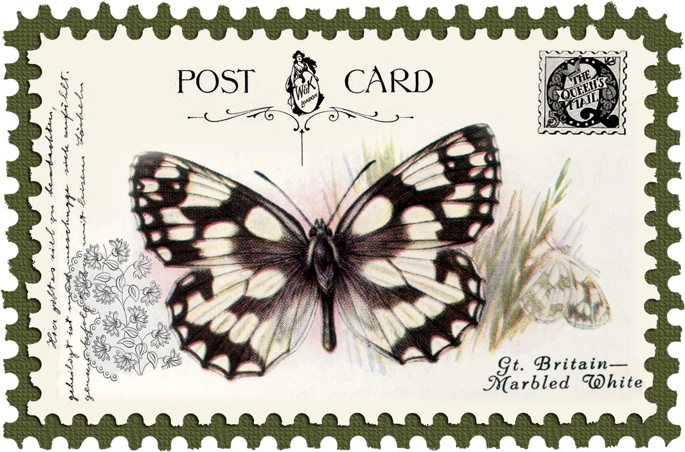 Juno Vintage Butterfly Postage Stamp 10 Mat - Stock.xchng (1458x1036), Png Download