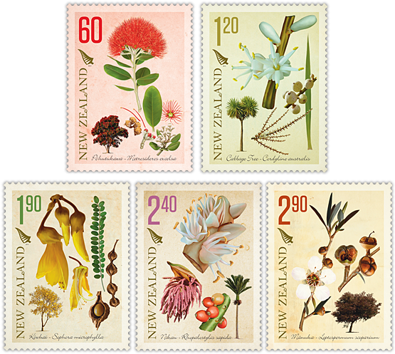 Image - Plants Of New Zealand Botanical Drawing (600x600), Png Download