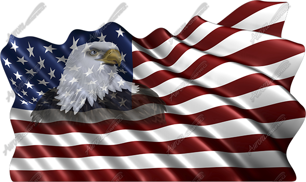 Waving American Flag Eagle Head Small - American Eagle Eagle Flag Transparent Png (600x357), Png Download