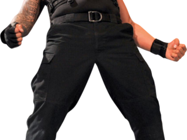 Roman Reigns Wwe Shoe (640x480), Png Download