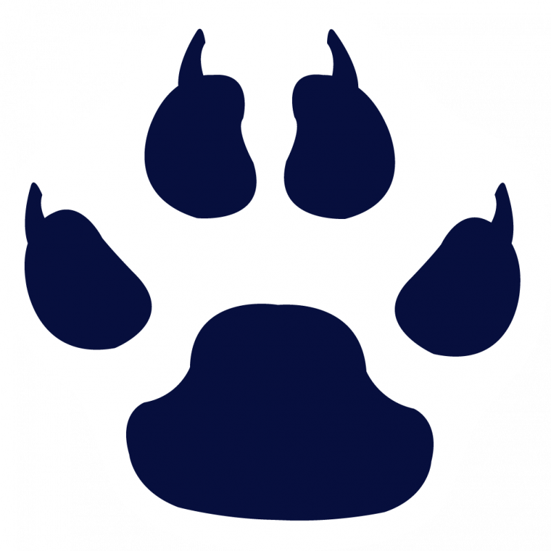 Download Paw Print Clip Art Clipart Tiger Dog Clip - Paw Print Stencil (800x800), Png Download