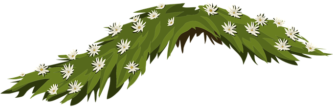 Flowers Jasmine White Leaves Arrangement F - Illustration (680x340), Png Download