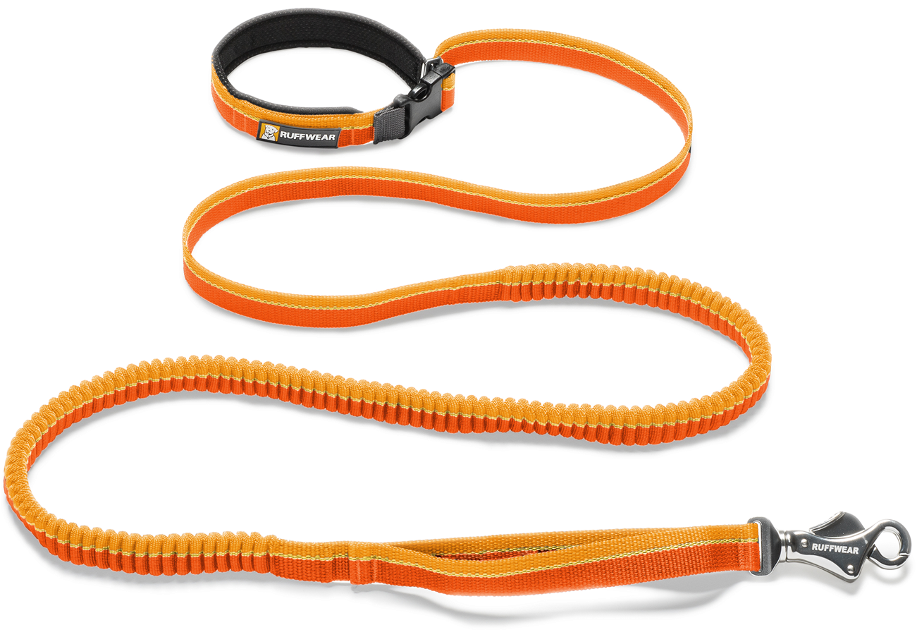 Ruffwear Roamer Leash (1300x1300), Png Download