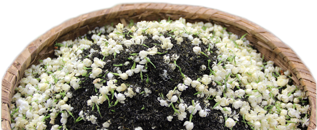 Fuding Silver Needle - Tea (648x279), Png Download