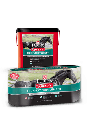 Purina® Amplify® High-fat Horse Supplement - Purina Amplify (300x430), Png Download