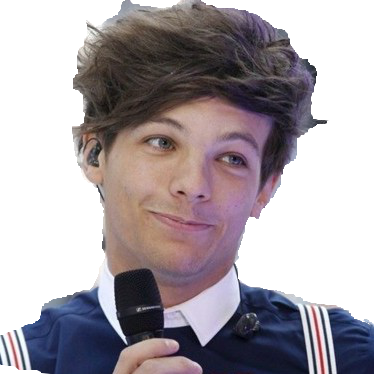 Louis Tomlinson Transparent Tumblr I Just Found It - One Direction Hair Meme (374x374), Png Download