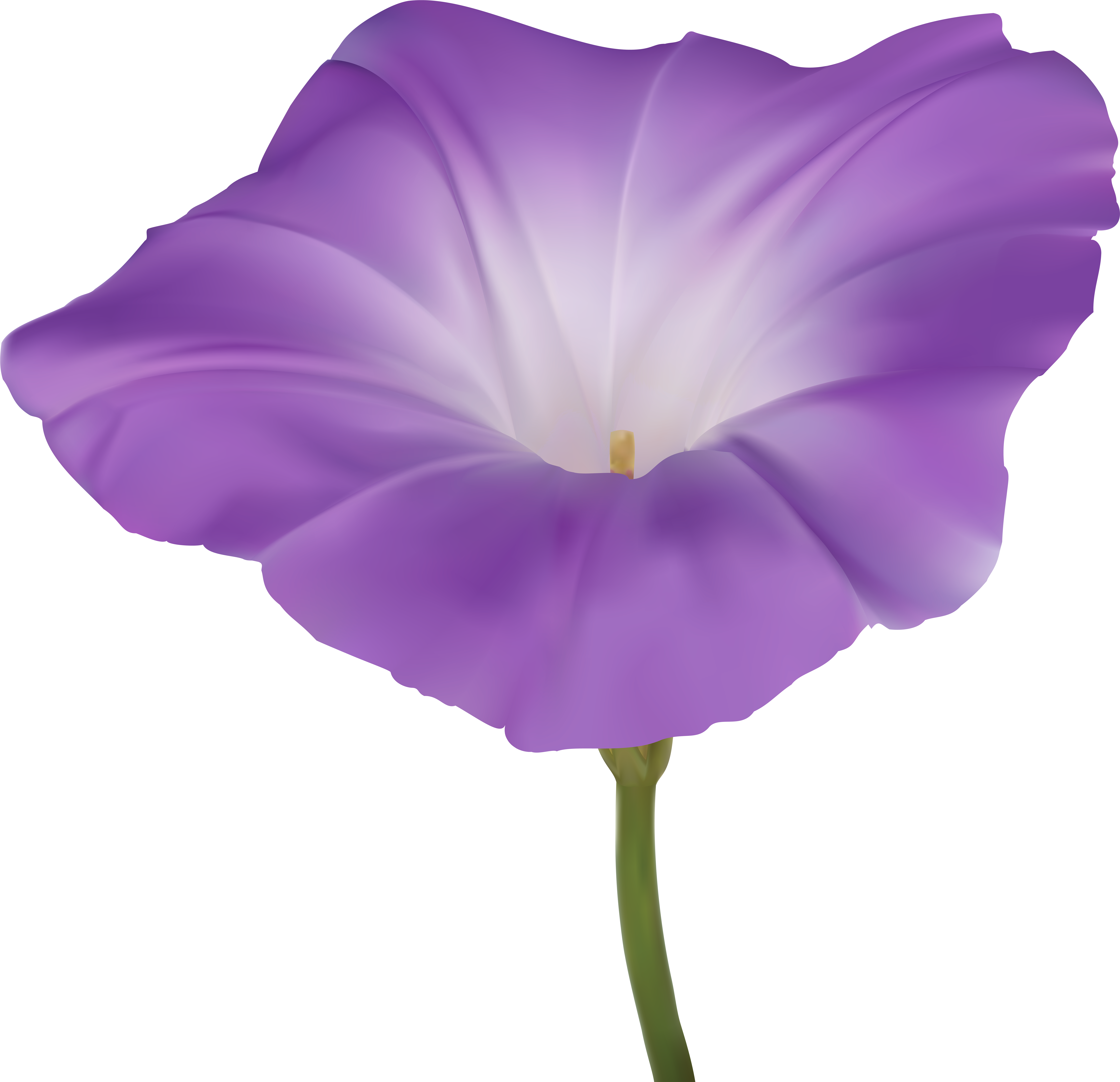 Morning Png (8000x7712), Png Download