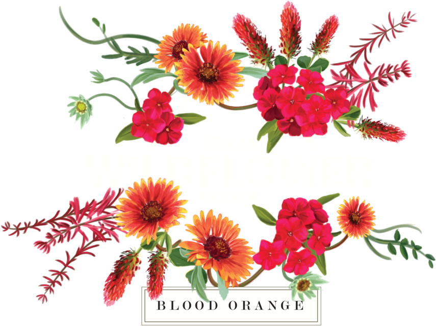 Blood Orange White 01 (1000x706), Png Download