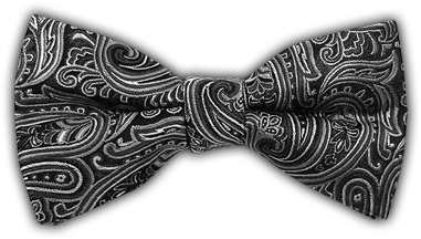 Paisley Bowtie - Paisley (400x300), Png Download