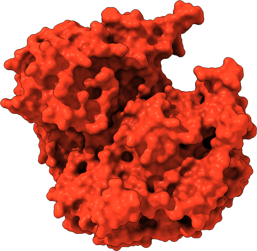 Heart (1000x1000), Png Download