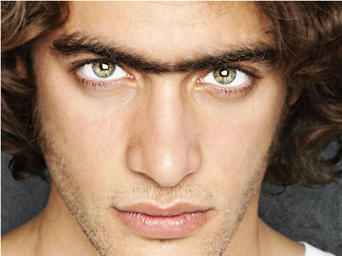 Connected Eyebrows - Gorilla Killa Warfare On Body Hair (480x558), Png Download