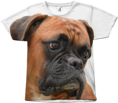Boxer Dog Face T-shirt - Boxer Dog (480x480), Png Download