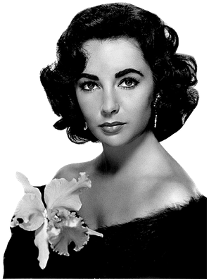 Elizabeth Taylor Foto - Elizabeth Taylor (400x400), Png Download