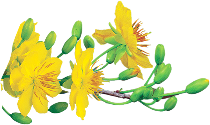 Rãnh Làm Luôn Cho Ae Thiết Kế Nè,thêm Một Số Hình Của - Xuan Giap Ngo 2014 (708x426), Png Download