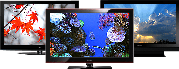 Buy Tv Chandler - Black And White Photography Flowers (635x280), Png Download