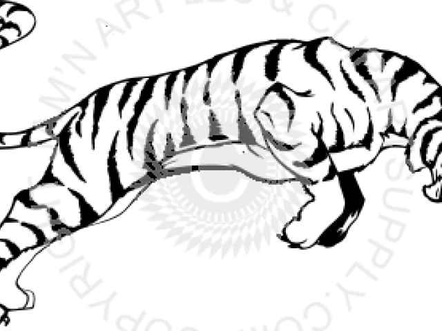 Tiger Clip Art (640x480), Png Download
