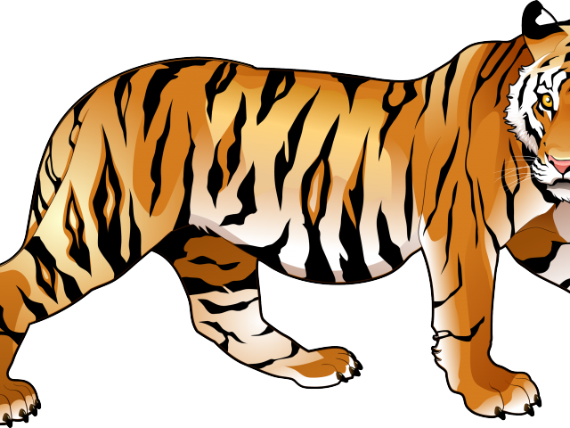 Tiiger Clipart Toger - Riding The Tiger: How To Execute Business Strategy (640x480), Png Download