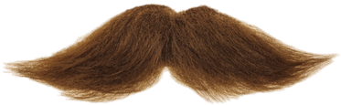 Mustache Brown - Png Objects (400x400), Png Download