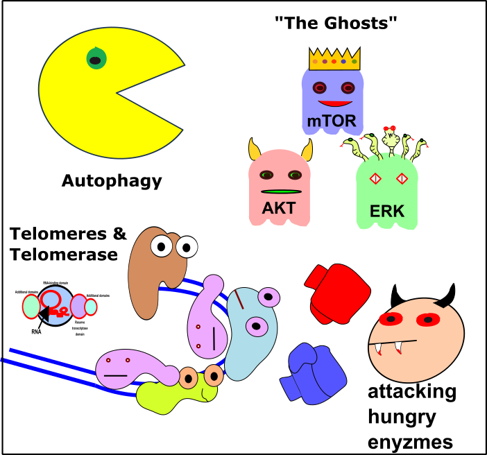 Actors - Cartoon (702x656), Png Download