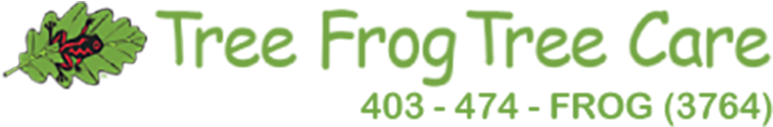 Tree Frog Png (800x180), Png Download