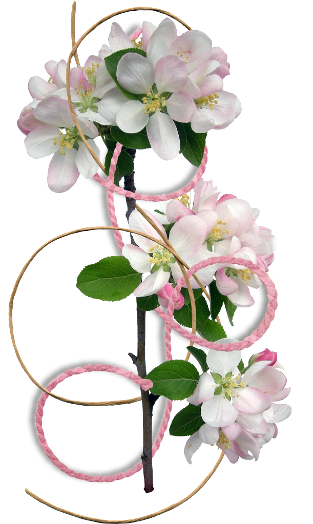 Flower Border Clipart - Flower Border (611x1023), Png Download