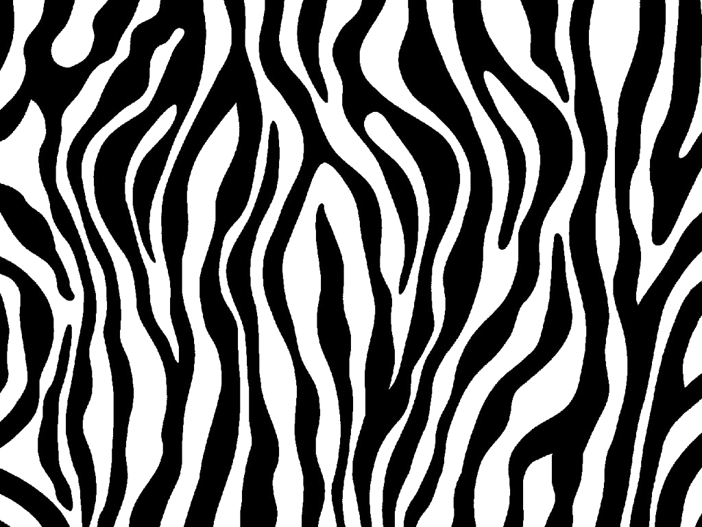 Zebra Print Transparent Images - Zebra Print Coloring Pages (1024x768), Png Download