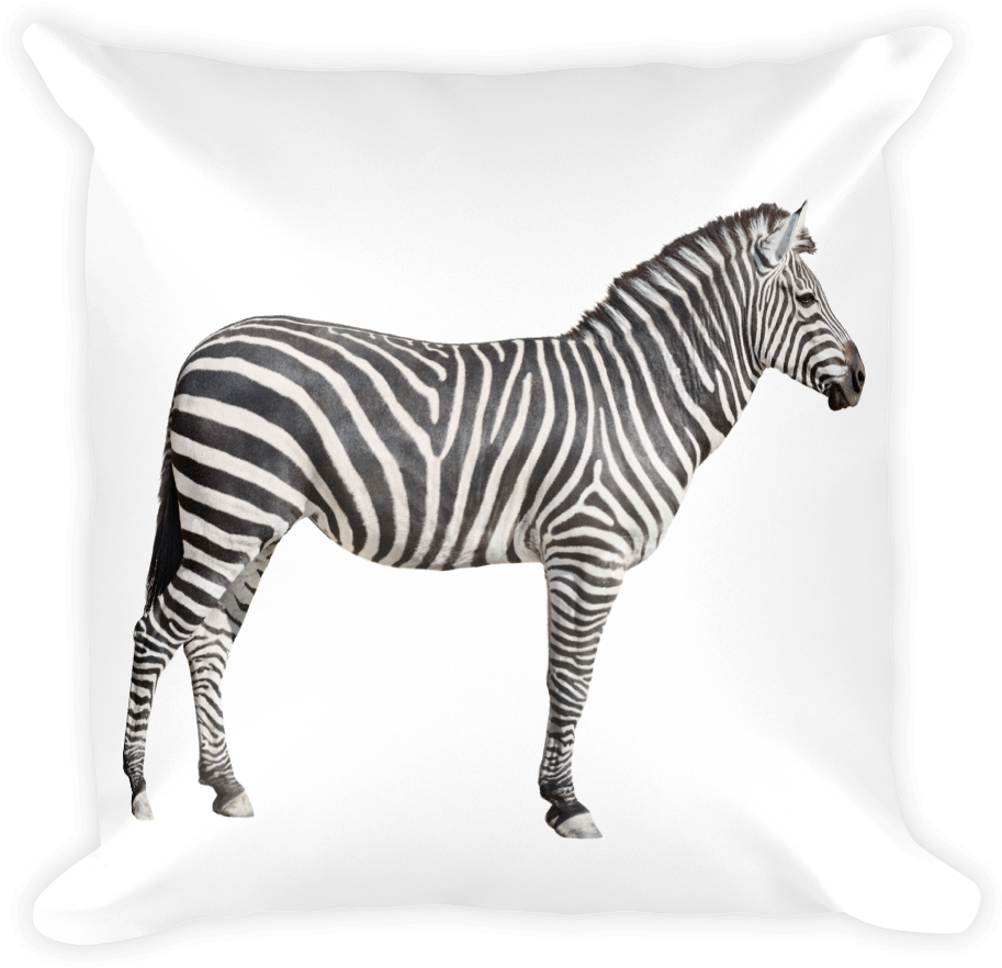 Zebra Print Square Pillow - Flash Card Wild Animals (1000x1000), Png Download