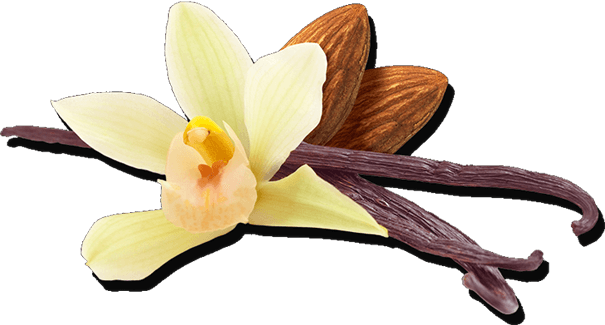 Our Ingredients - Sprouting (605x325), Png Download