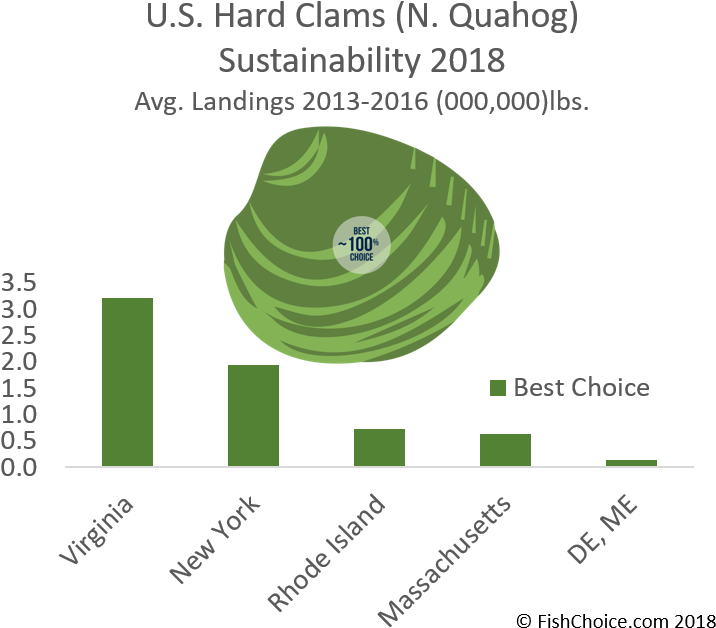 Hard Clam / Northern Quahog Sustainability - Hard Clam (750x675), Png Download