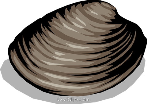 Clams Royalty Free Vector Clip Art Illustration - Clams Clipart (480x341), Png Download