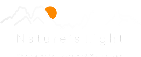 Photographic Workshops (600x279), Png Download