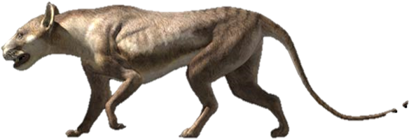 Bear Dog - Walking With Beasts Bear Dog (601x246), Png Download