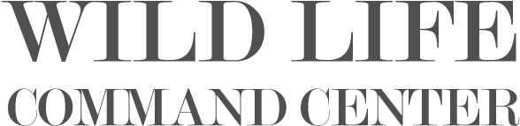 Foot And Ankle Logo (590x248), Png Download