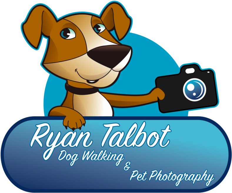 Johns Island Dog Walker & Sitter - Dog Walking (906x800), Png Download