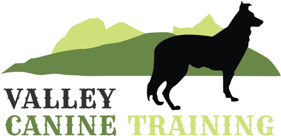 Dog Training Vernon And Lumby Bc - Valley Canine Training (600x304), Png Download
