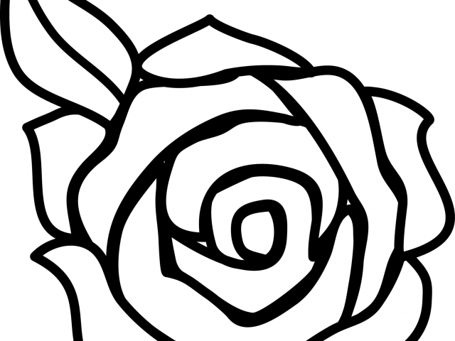 Pink Rose Clipart Border Sketch - Beginner Rose Drawing Easy (640x480), Png Download