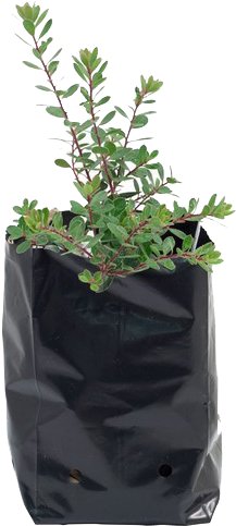 Nursery Bag - 1 Gallon Potting Bags (500x500), Png Download