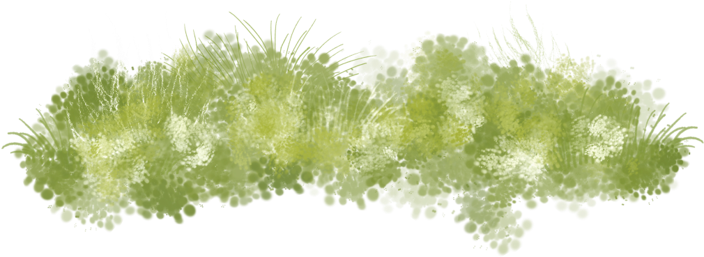 Seaweed Clipart Grass Land - Hand Painted Grass Png (1024x368), Png Download