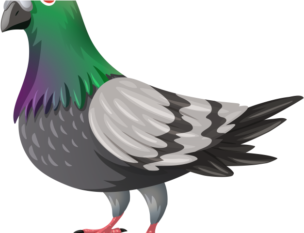 Pigeon Clipart Design - Painting Style Bird Pigeon New Design Rope Bag One (640x480), Png Download