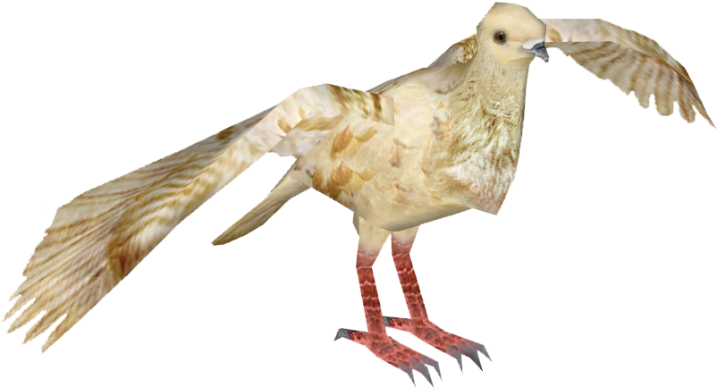 African Owl Pigeon 5 - American Mourning Dove (801x801), Png Download
