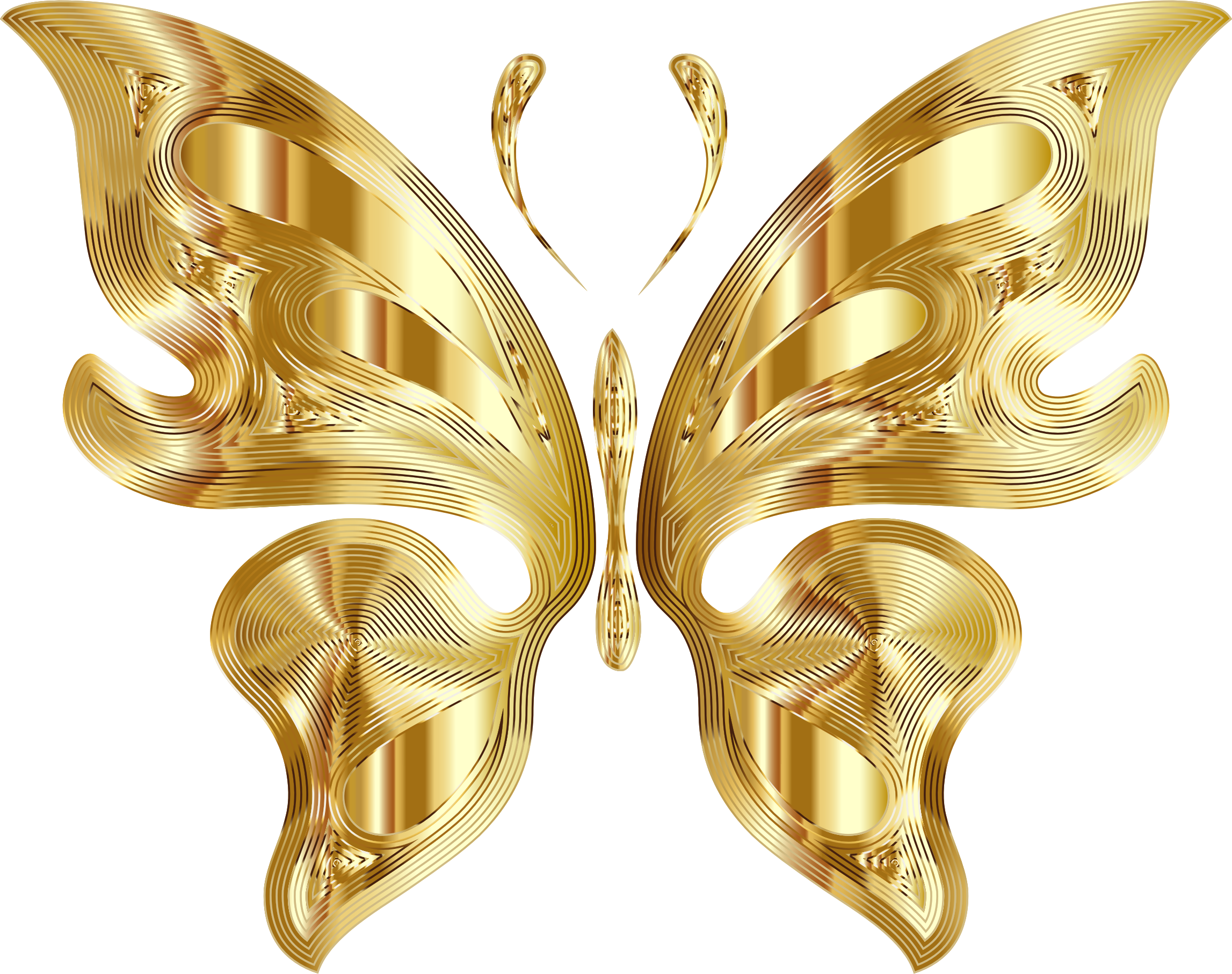 Butterfly 11 Variation 3 No Background (2294x1814), Png Download