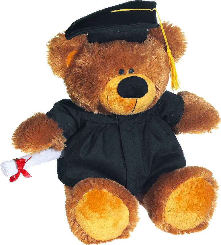 Bearwear Graduation Hat & Diploma - Graduation Teddy Bears 2018 (1000x1000), Png Download