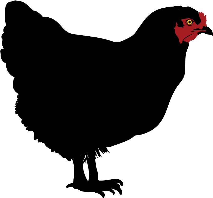 Chicken Silhouette - Chicken Silhouette Clip Art (516x472), Png Download