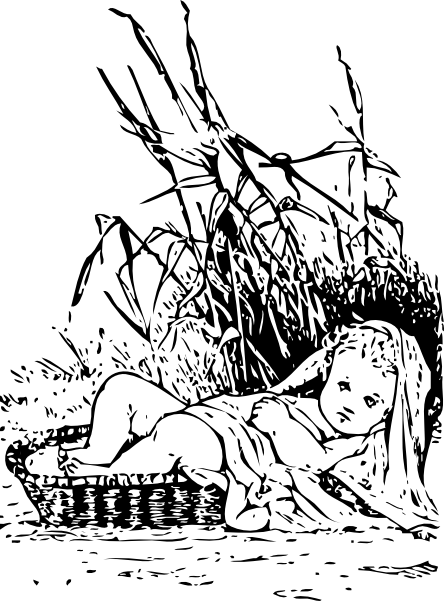 Crosshair Png (444x601), Png Download