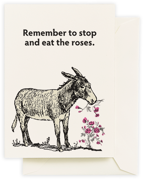 Donkey Eating Roses (600x777), Png Download