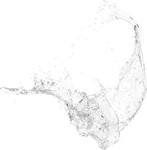 Educational Videos - Sketch (488x501), Png Download