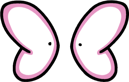 Tooth Fairy Wings Fairy Wing Clipart - Tooth Fairy Wings Clipart (522x339), Png Download