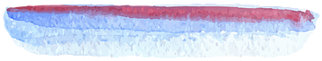 Watercolor Brush - Watercolor Painting (372x372), Png Download